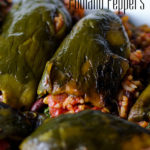 A pan of vegetarian stuffed poblano peppers.