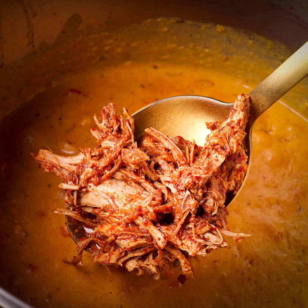 Add cooked pork carnitas to the soup.