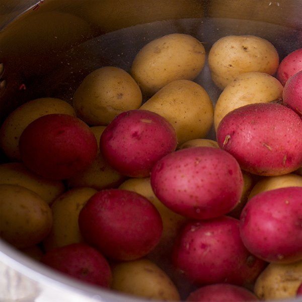 Small red and yellow potatoes in a pan of water, ready to be boiled.