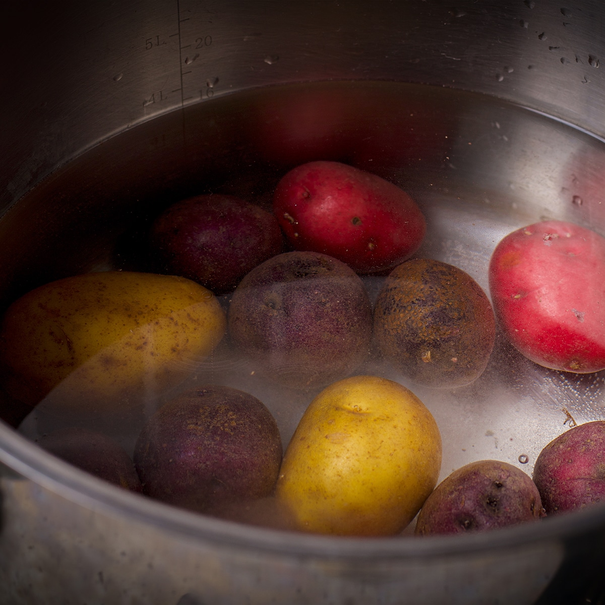 Small potatoes boiling in salt water.