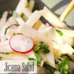 A bowl filled with jicama salad with apples and honey-lime dressing.