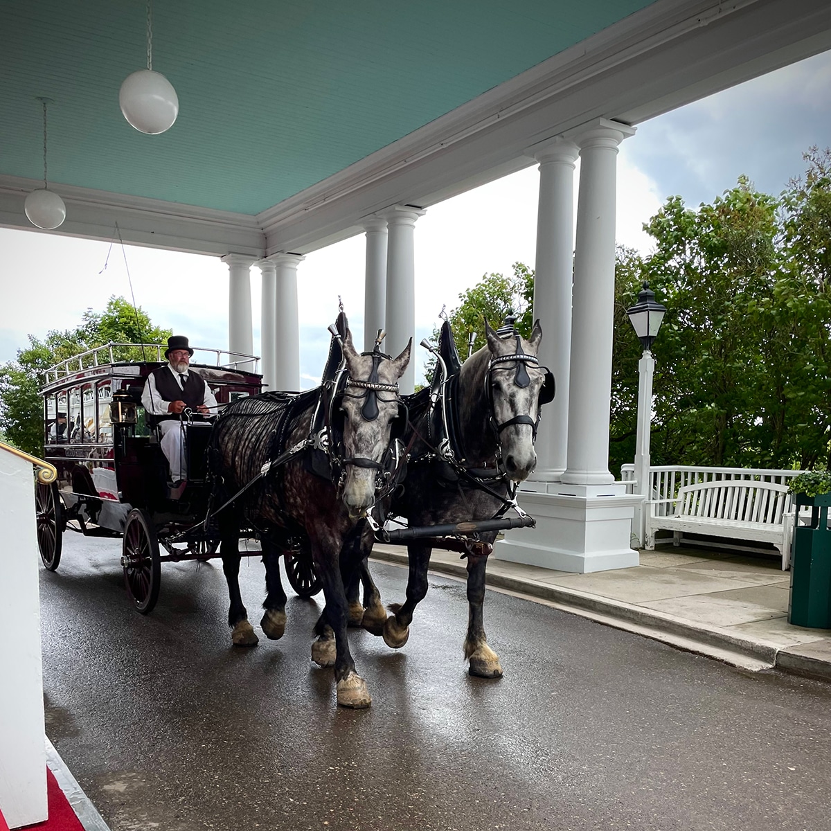 A man driving a horse drawn carriage on the grounds of the Grand Hotel on Mackinac Island.