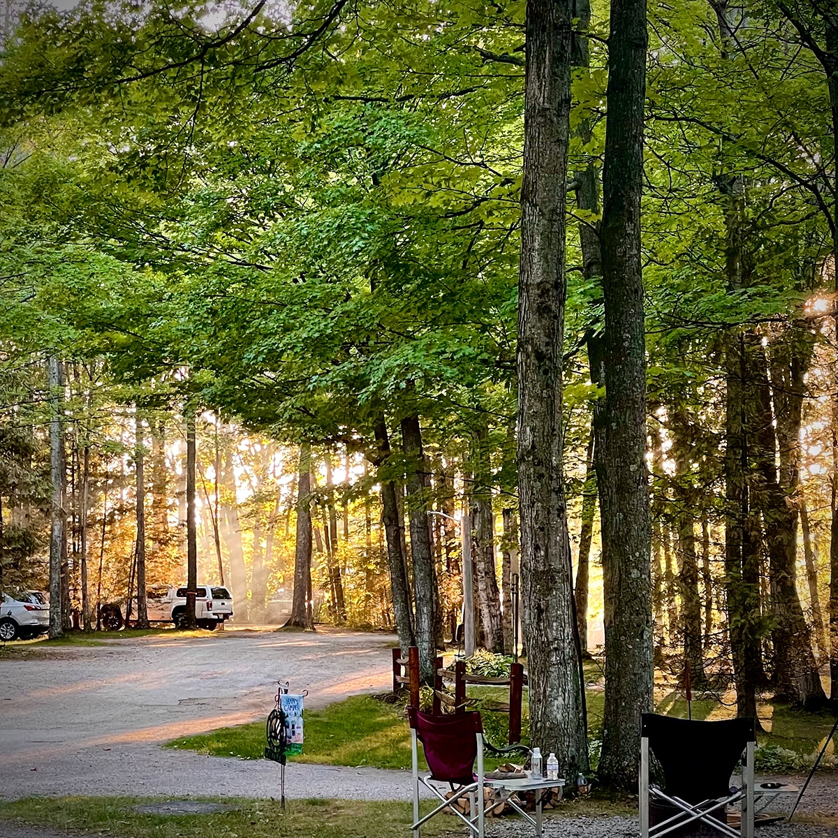 Looking out across the forested area of Hy-Land Court RV Park in Ellison Bay, Wisconsin.