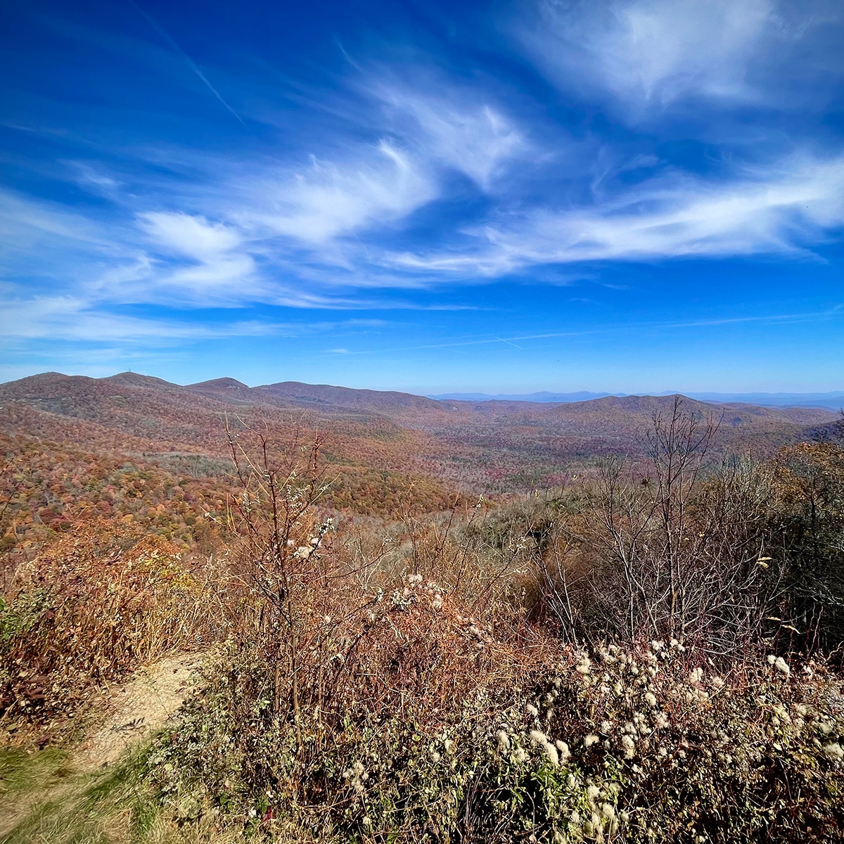The view from a lookout on the Blue Ridge Parkway in North Carolina.