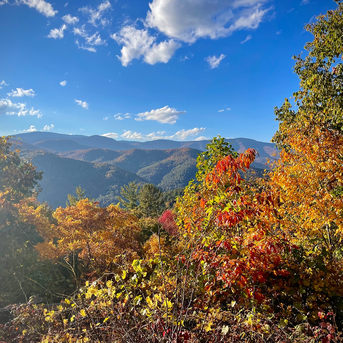 An incredible view of rolling hills and colorful fall leaves from the road leading in to the Cataloochee Valley in Great Smoky Mountains National Park.
