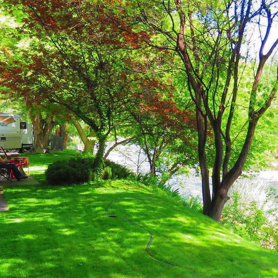 The green grass covered banks of Riverside RV Park in Riggins Idaho.