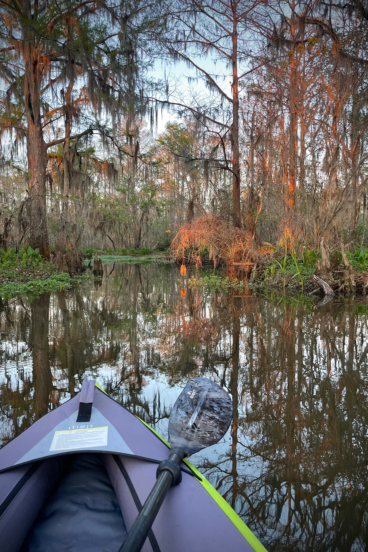 Kayaking through the swamp at Fairview-Riverside State Park in Louisiana. 